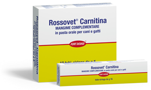 l-carnitine androgen receptor density L-Carnitine: Testosterone, Boost Energy & Performance 2025